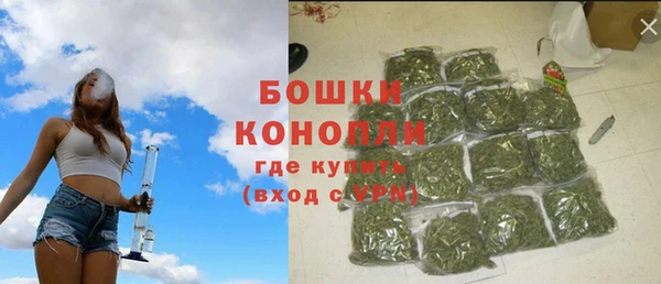 PSILOCYBIN Осташков