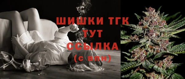 ешки Осинники